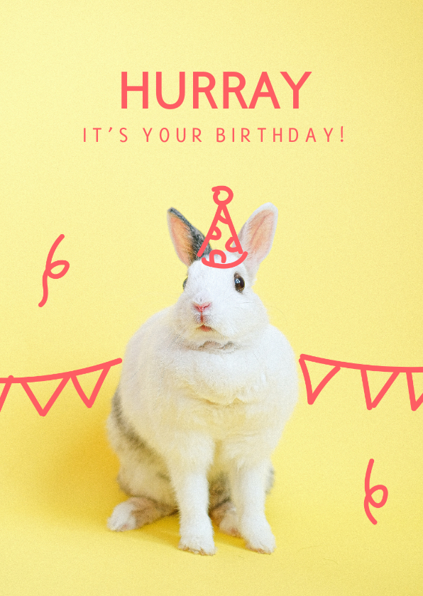 Geburtstagskarten - Geburtstagskarte Kaninchen mit Partyhut