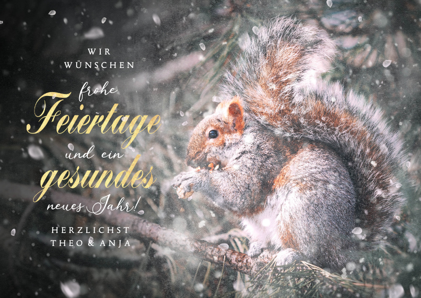 Weihnachtskarten - Fotokarte Eichhörnchen Winterwald