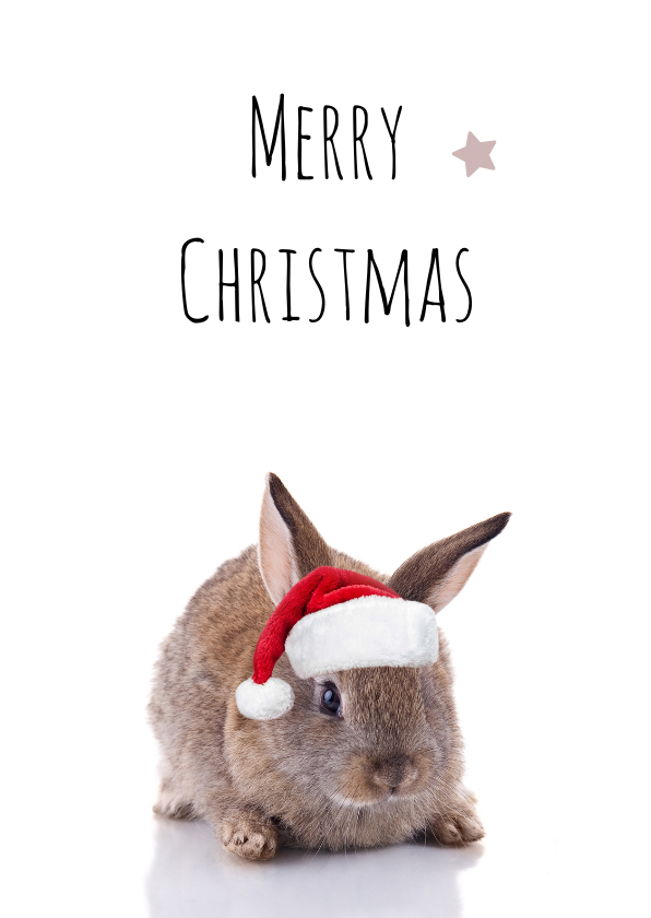 Weihnachtskarten - Lustige Weihnachtskarte Hase mit Weihnachtsmütze