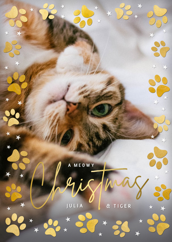 Weihnachtskarten - Weihnachtskarte Foto & Katzenpfoten