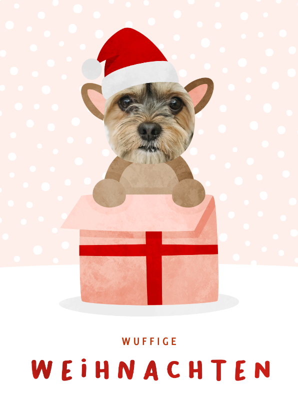 Weihnachtskarten - Weihnachtskarte Haustier in Geschenk