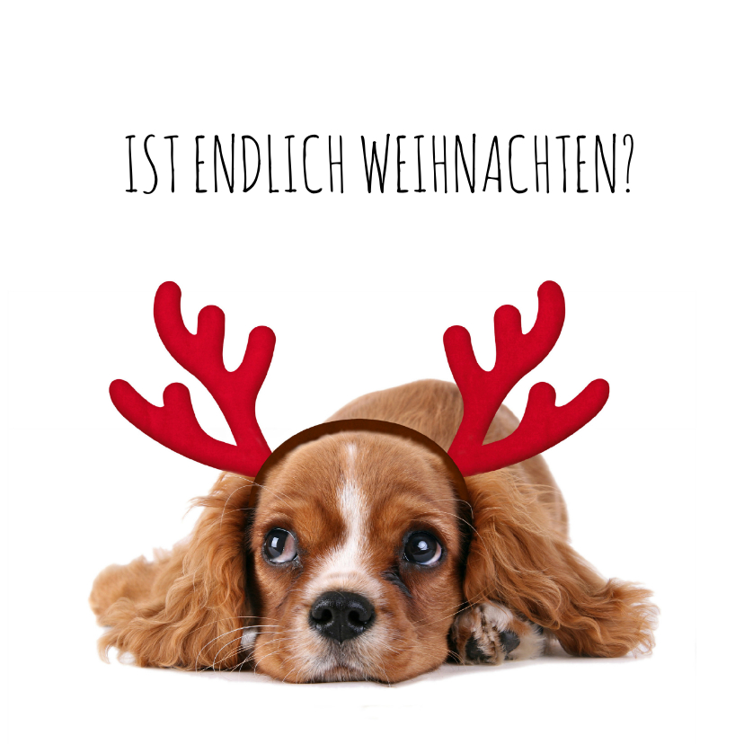 Weihnachtskarten - Weihnachtskarte Hund Welpe mit Hirschgeweih
