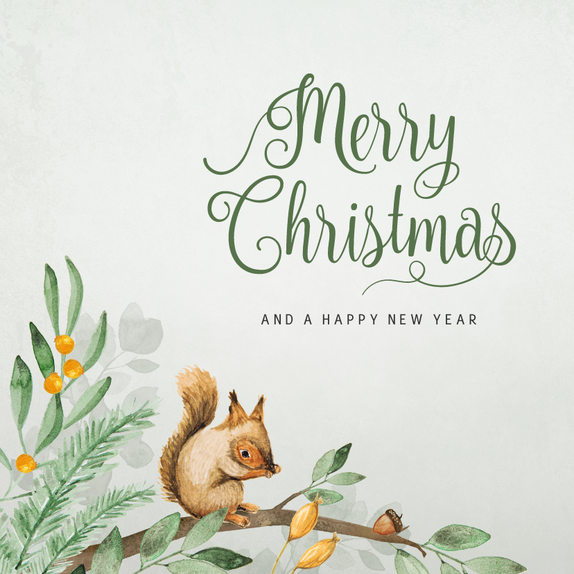 Weihnachtskarten - Weihnachtskarte mit Eichhörnchen auf Zweigen