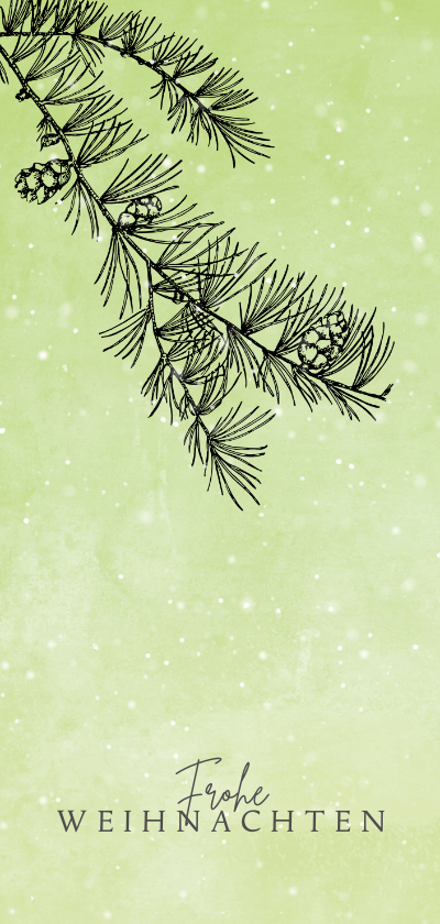 Weihnachtskarten - Weihnachtskarte Tannenzweig und Schnee