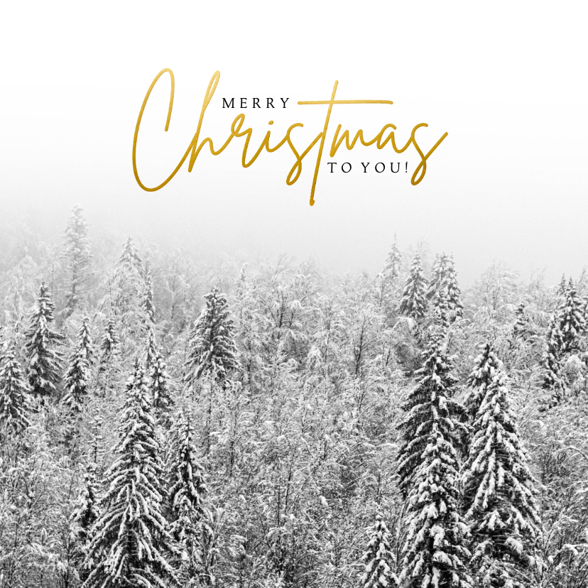 Weihnachtskarten - Weihnachtskarte Winterwald in Schwarzweiß